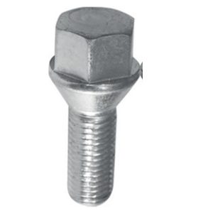 BİJON CIVATASI KROMAJLI MGN-KNG-CLIO YM