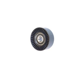 ALTERNATÖR GERGİ RULMANI CLIO II-KNG 1.4-1.6 7700870495