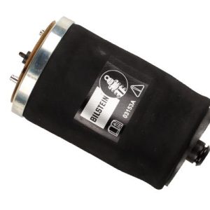 SÜSPANSİYON AİR KÖRÜĞÜ ARKA SAG BMW X5 E53 00 06