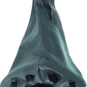 VİTES KÖRÜĞÜ PALIO-SIENA