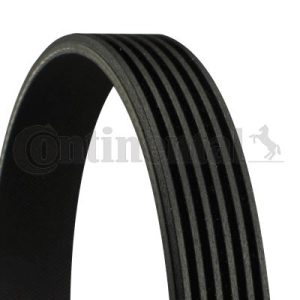 KANALLI KAYIŞ CMAX-FOCUS II 04 1.4-1.6 Tİ-VOLVO C30-S40-V50 4M5Q6C301HC-4M5Q6C301JA-9M5Q6C301DA