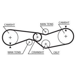 x TRİGER KAYIŞI 093x190 CITROEN AXEL GS GSA 1.0 1.2 1.3 8V 71-87 CT653 75527444