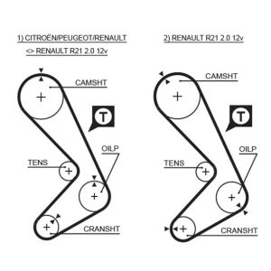 TRİGER KAYIŞI 116x190 116 DİŞ CNCRD-LGN-SAFR 2.0 GD116H9-5P190 CT749 7700718725