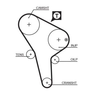 TRİGER KAYIŞI 135x254 AUDI VW GOLF 1.6D 8V 80-91 PASSAT1.6D 8V 81-88 TRANSPORTER 1.6D CT513