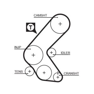 TRİGER KAYIŞI 136x254 COMBO1.7 DZL 98-02 GD136HL254 CT748