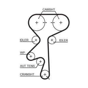 TRİGER KAYIŞI 169x200 169 DİŞ ASTRA F-VECTRA B16 V 96-02 CT873 24451896-5636565-5636357