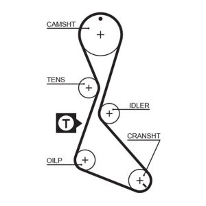 TRİGER KAYIŞI 127x190 MGN 2.0-LGN 2.0 127 DİŞ GD127H9.5P190 CT840
