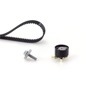 TRIGER SETI 123 DIS 27MM CLIO II 01 06 MEGANE II 04 KANGO 01 MICRA III 04 DUSTER 10 1.5 DCI K9K EURO 3 EURO 4