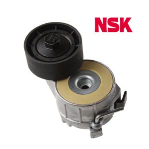 ALTERNATÖR GERGİ RULMANI KÜTÜKLÜ P206-BIPPER-EXPERT-PARTNER-BERLINGO-C5-JUMPY-NEMO 1.4HDI-1.6HDI