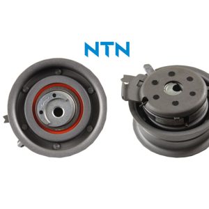 EKSANTRİK GERGİ RULMANI T5-CADDY III-PASSAT-GOLF-JETTA III-POLO-BORA-TOCORDOBA-IBIZA 1.4 16V-1.6 16V 06A109479C-06A109479B-06A109479F