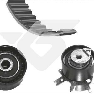 EKSANTRİK GERGİ KİTİ 116x254 P307-P308-P407-P508-P807-EXPERT--C4-C5-C8-JUMPY-SCUDO-FOCUSII- CMAX 2.0D-2.0HDI K015606XS