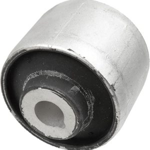 SALINCAK BURCU BÜYÜK CRAFTER 2016