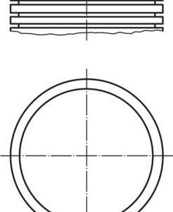 MOTOR PİSTON SEGMAN 79.00 P206-P207-P307-PARTNER-C3-BERLINGO 1.6 ie 16V TU5-JP4 00 040PI00004101