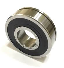 ŞANZUMAN RULMANI PALIO