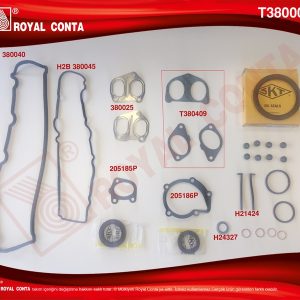 MOTOR TAKIM CONTA SKT KEÇELİ LASTİKLİ PARTNER-BERLINGO-C15-JUMPY-XSARA 1.9 DW8