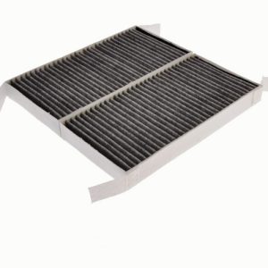 POLEN FİLTRESİ LGN III 07 272770001R-272772951R