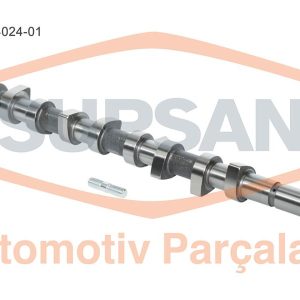 EKSANTRİK MİLİ CAPTUR I 12 CLIO II 01 06 SYMBOL II 08 MEGANE III 09 KANGOO 01 QASHQAI 06 13 MICRA III 05 10 LOGAN II 08 1.5 DCI K9K 1MİL