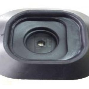 VİTES KÖRÜĞÜ DKS