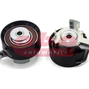 EKSANTRİK GERGİ RULMANI FORD FOCUS-FİESTA 02  1.25-1.6 ZETEC