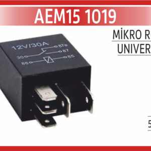 MİKRO ROLE 12V 5PİN