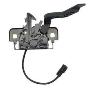 MOTOR KAPUT KİLİT UÇ PLASTİĞİ CLIO CYMBOL II-SANDERO 656016651R 656016651R