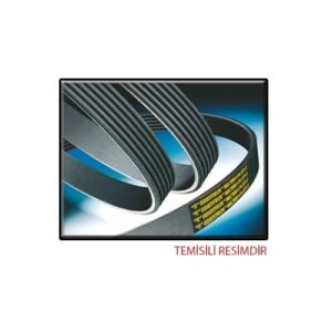 KANALLI KAYIŞ 1752164J00