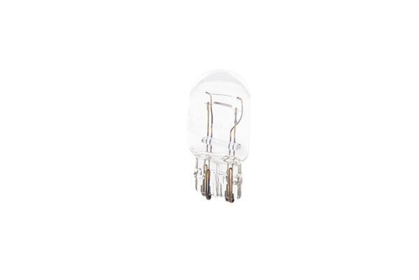1987302252 GUNDUZ FARI AMPUL ECO 12V 1016 STOP DİPSİZ ÇİFT FLAMA W21/5W W3x16q 262997321R