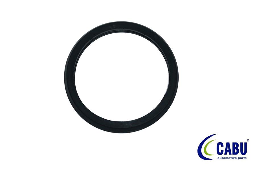 TERMOSTAT CONTASI CONNECT 02 14 1.8 TDCI W703399S300