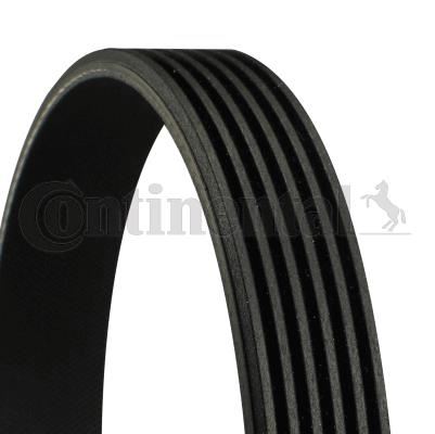 KANALLI KAYIS MERCEDES W124 W202 W203 CL203 S212 W140 W166 W463 B901 B904 A0029930996-6PK2138