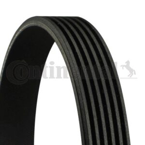 KANALLI KAYIS MERCEDES SSANGYONG SUBARU VW A0019933496-062260849B-6PK2155