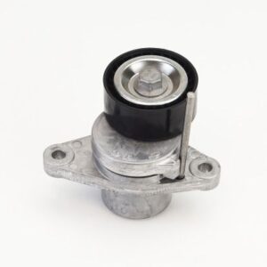 ALTERNATÖR GERGİ RULMANI KÜTÜKLÜ RENAULT LAGUNA III 07 15 DACIA DOKKER 12  DUSTER 10