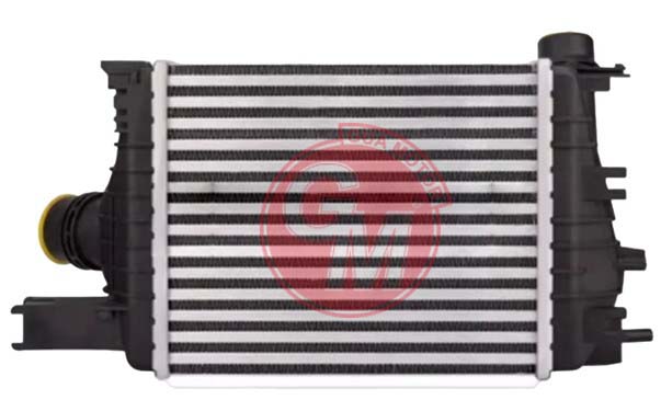 TURBO RADYATÖRÜ INTERCOOLER RENAULT CLIO V 1.0TCE 20 NISSAN MICRA V BRAZING 255x217x50
