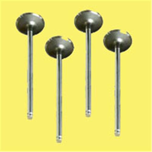 SUBAP EMME EGZOZ R11 FLASH 1700-R21 MNGR 8V IN-4/EX-4 7701463081-7701463082