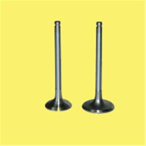 EMME EGZOZ SUBAP TAKIM POLO-GOLF4-5-JETTA-PASSAT-TIGUAN AHW-BBY-BKY-BAG-BLF-BLP-BMY-BCB-CAVA-CAXA 036109601S-036109611K