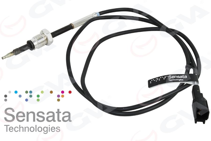 EGSOZ SICAKLIK SENSÖRÜ TRANSIT V348 V363 14