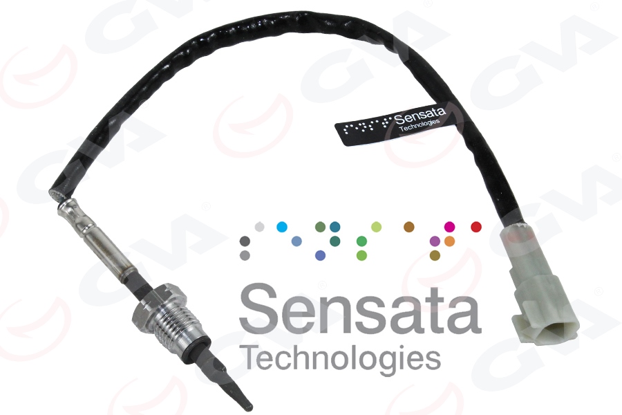 EGSOZ SICAKLIK SENSÖRÜ RANGER 11 3.2 200PS