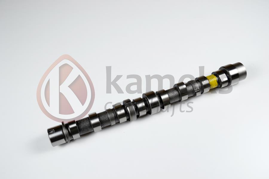 EKSANTRİK MİLİ EMME BIPPER 10 NEMO 10 DOBLO 10 EGEA 16 PUNTO 12 500 L 12 95BG 1.3 JTD EURO5 DÖKÜM 55206897