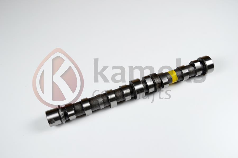 EKSANTRİK MİLİ EGZOZ BIPPER 10 NEMO 10 DOBLO 10 EGEA 16 PUNTO 12 500 L 12 95BG 1.3 JTD EURO5 DOKUM 55206898