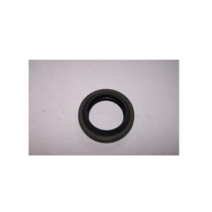 ÖN AKS KEÇESİ DUSTER 4X4 331425961R