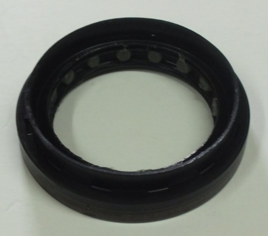 AKS KEÇESİ ÖN CLIO III-MGN II-LGN II-MODUS 8200884113-8200110847-8200275750