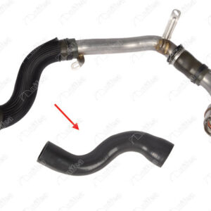 TURBO HORTUMU UZUN METAL BORU HARİÇ MGN III-FLUENCE 1.5 DCİ 110HP 09