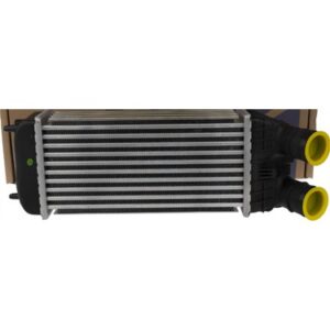 TURBO RADYATÖRÜ INTERCOOL 301 207 208 2008 DS3 C-ELYSEE S3 III C3 IV C4 CACTUS DV6DTED DV6C 12 9803900780-0384.N8-0384.N7