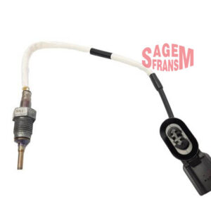 EGZOZ GAZI SICAKLIK SENSÖRÜ RENAULT MASTER III 10 165 BG ÇİFT TURBO