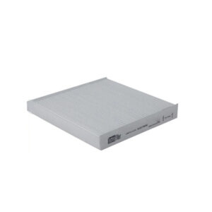POLEN FİLTRESİ P407 C5 04/08