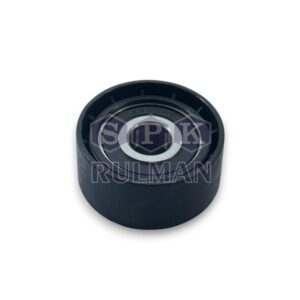 ALTERNATÖR GERGİ RULMAN TEK RULMAN P206-306-EXPERT-PARTNER-BERLINGO-JUMPY-XSARA-SCUDO 1.9D 98- DW8-BW8B