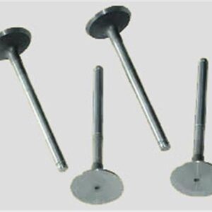 SUBAP EMME EGZOZ KNG-EXP-R19 F8Q-MGN-LGN 1.9 00