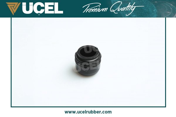 VİTES KUTUSU TOZ LASTİĞİ RENAULT R12 608408500
