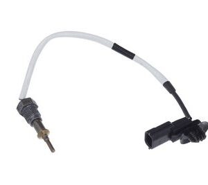 EGZOZ GAZI SICAKLIK SENSÖRÜ RENAULT MASTER III 10  165 BG ÇİFT TURBO