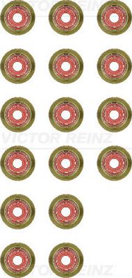 SUPAP LASTİĞİ TAKIMI 16 ADET P206-P207-P307-P308-P407-P3008-EXPERT-PARTNER-BERLINGO-JUMPY-XSARA- C3-C4-C5-FOCUS-FIESTA-C-MAX-SCUDO 1.6 DV6 HDI-TDCI